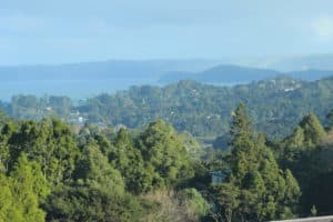 Titirangi and  from Te Uru